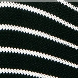 Meet your Posher, Cheyenne